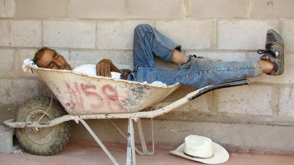 Durmiendo la siesta.