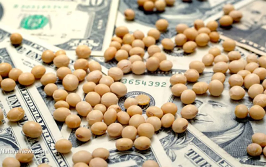 Dolar soja.-