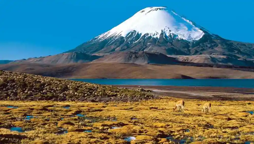 Volcán Ojos del Salado.