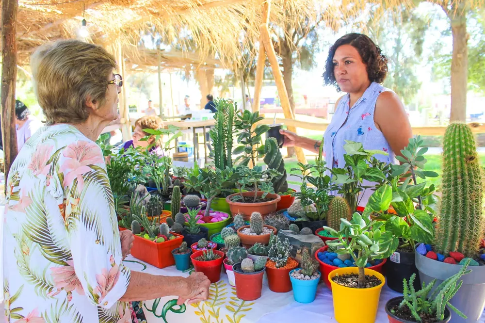 Feria Productiva de la Cultura y el Trabajo.