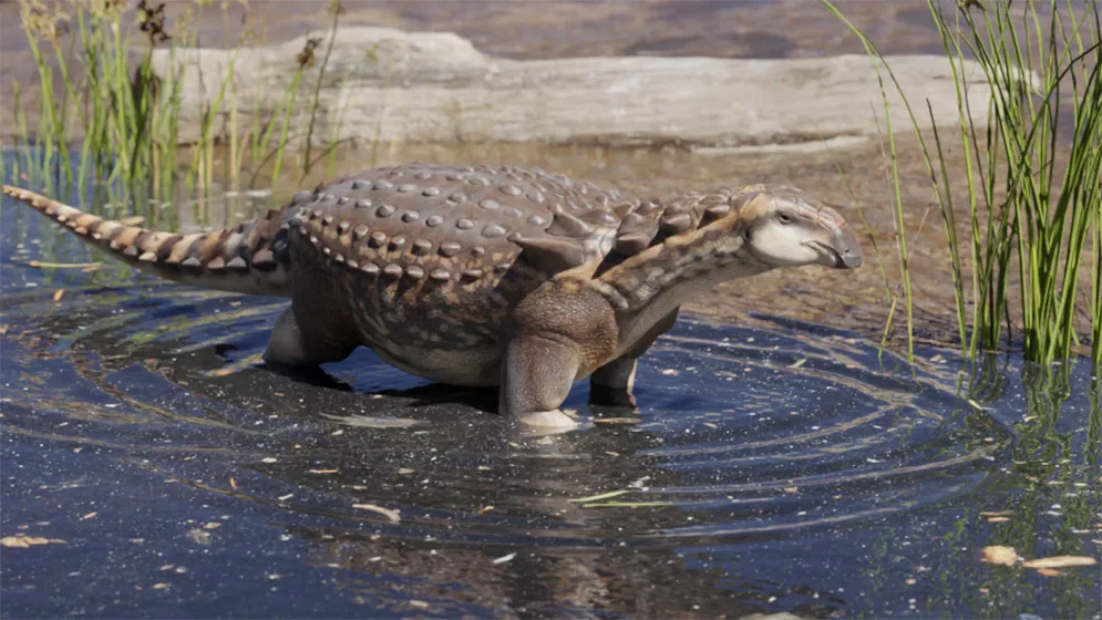 Anquilosaurio Patagipelta.
