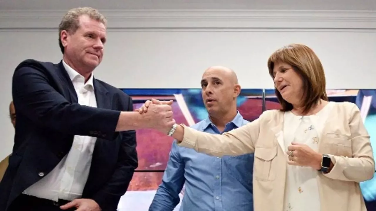 Gerardo Fabián Milman / Patricia Bullrich.