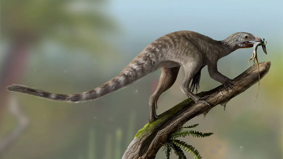 Venetoraptor gassenae.